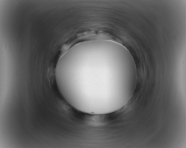 X0000084000184200703091913