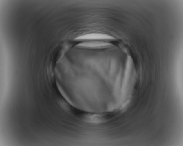 X0000084000186200703091913