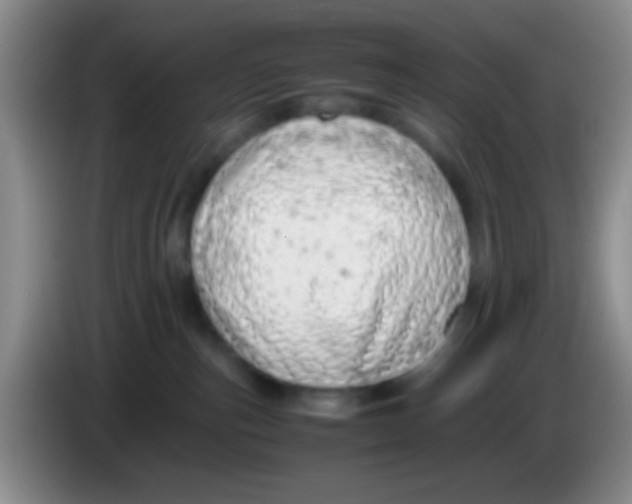 X0000084000187200703091913