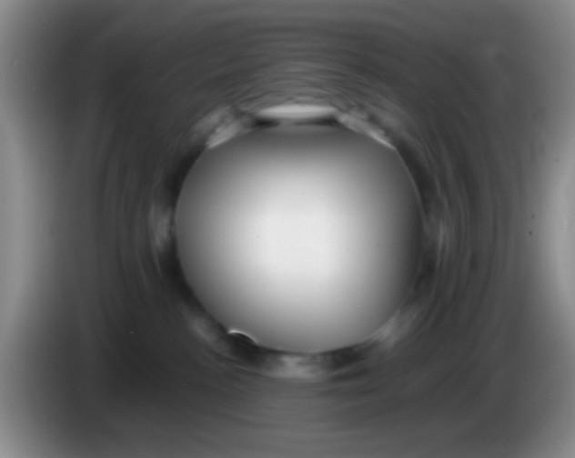 X0000084000188200703091913