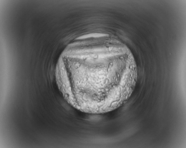 X0000084000189200703091913