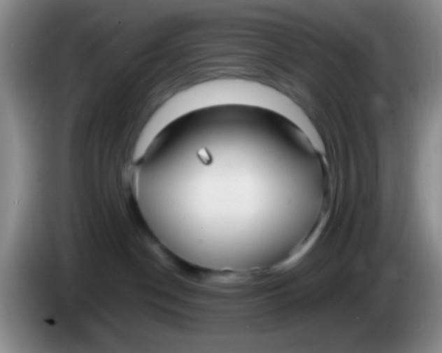 X0000084000190200703091914