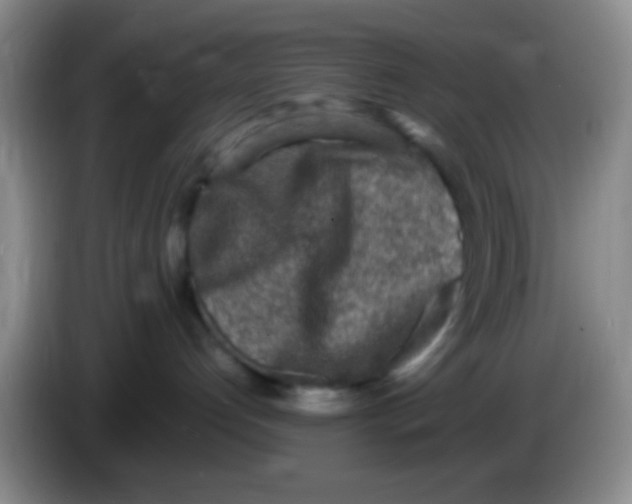 X0000084000192200703091914