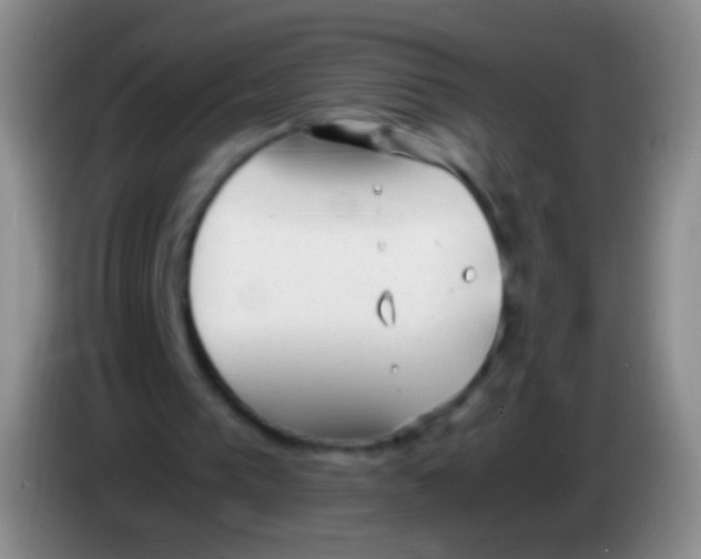 X0000084000193200703091913