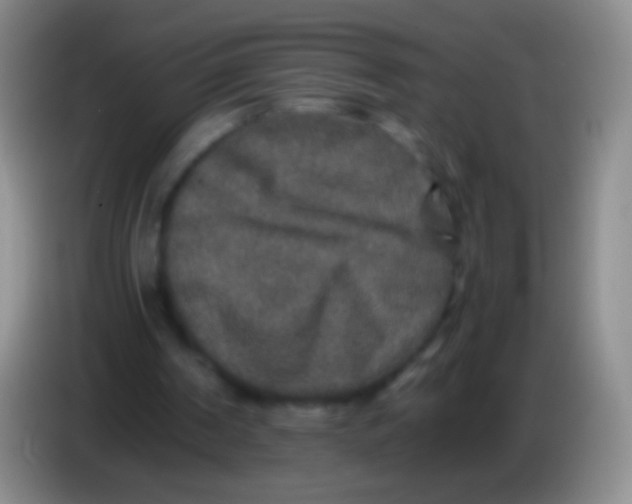 X0000084000194200703091913