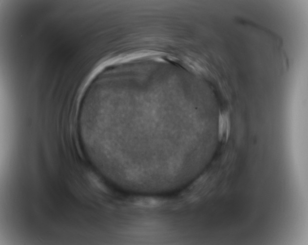 X0000084000195200703091913
