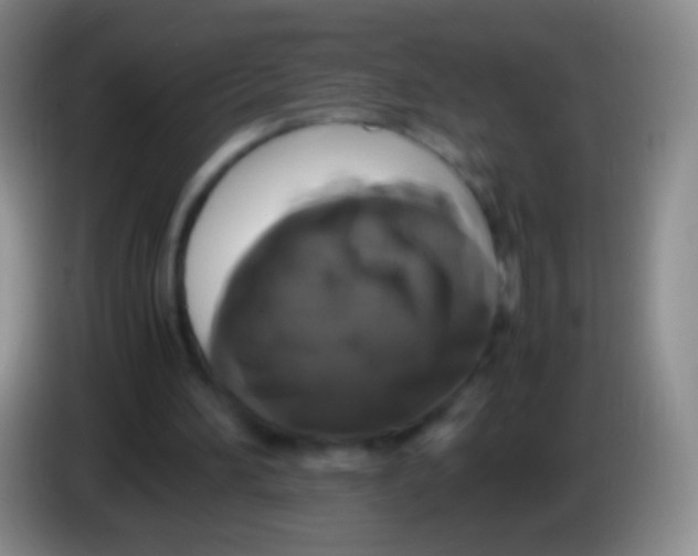 X0000084000196200703091913