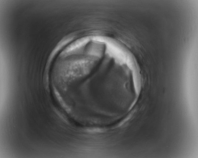 X0000084000198200703091913
