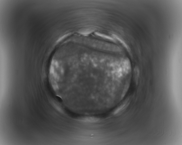 X0000084000203200703091913