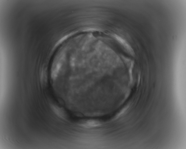 X0000084000204200703091913