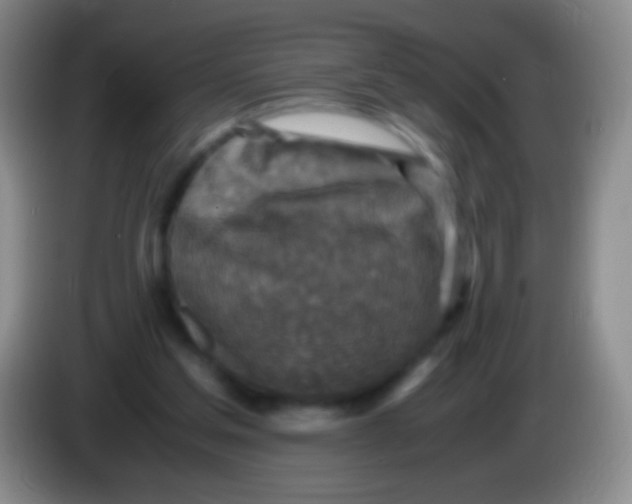 X0000084000205200703091913