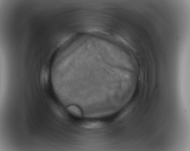 X0000084000206200703091913