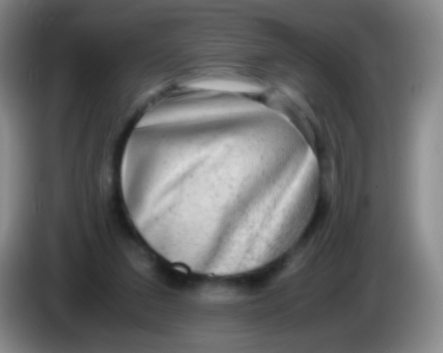 X0000084000207200703091913
