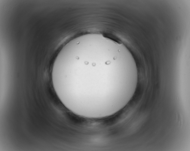 X0000084000208200703091913