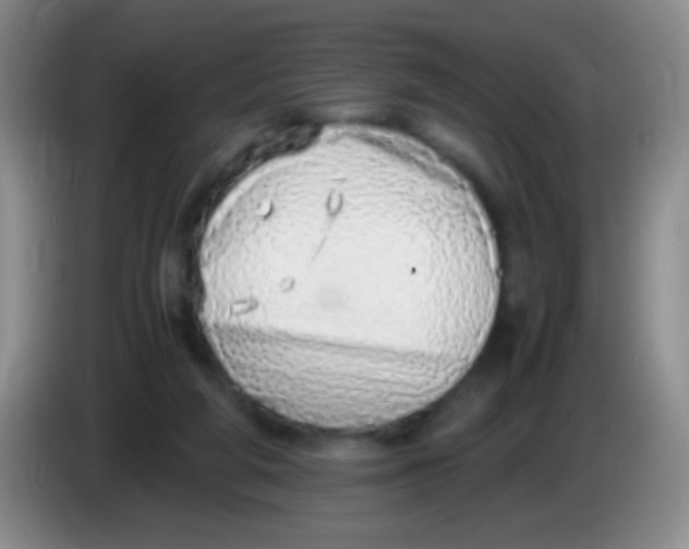 X0000084000210200703091913