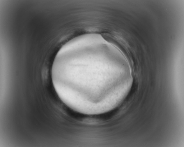 X0000084000211200703091913