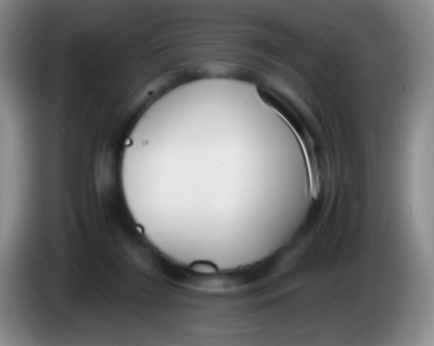 X0000084000212200703091913