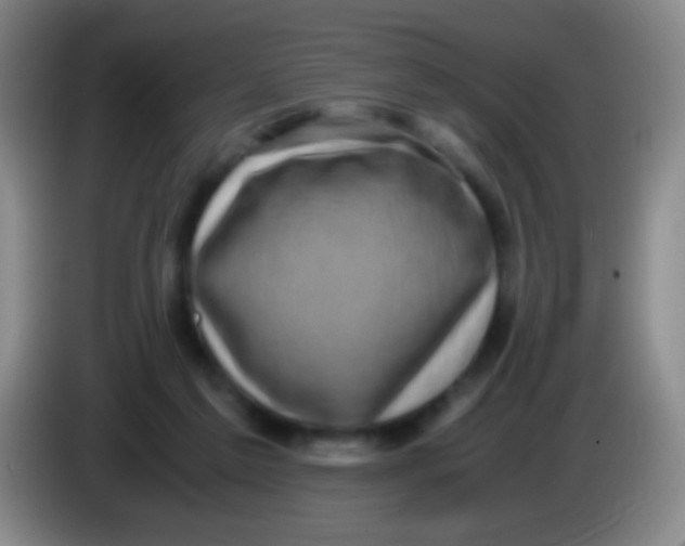 X0000084000213200703091913