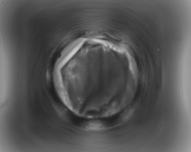X0000084000214200703091913