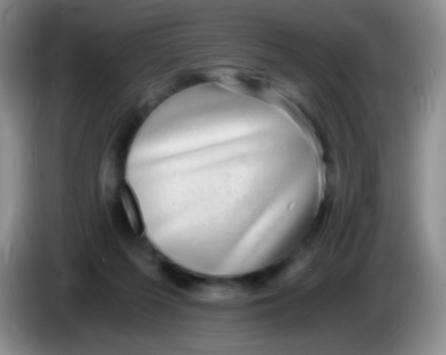 X0000084000215200703091913