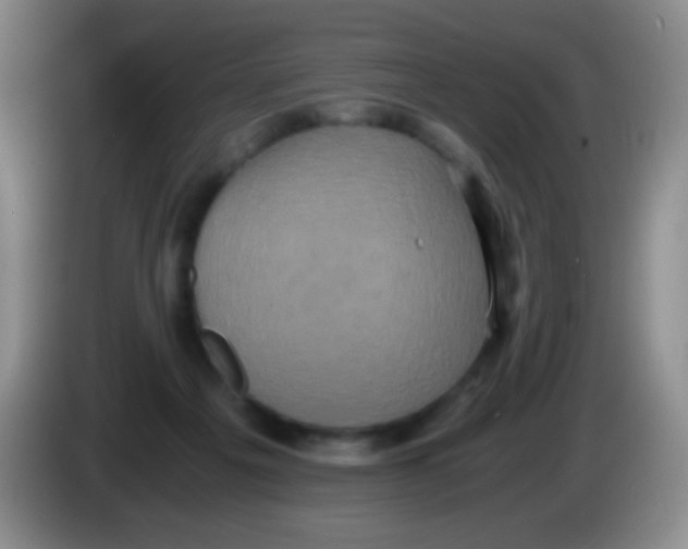 X0000084000217200703091913