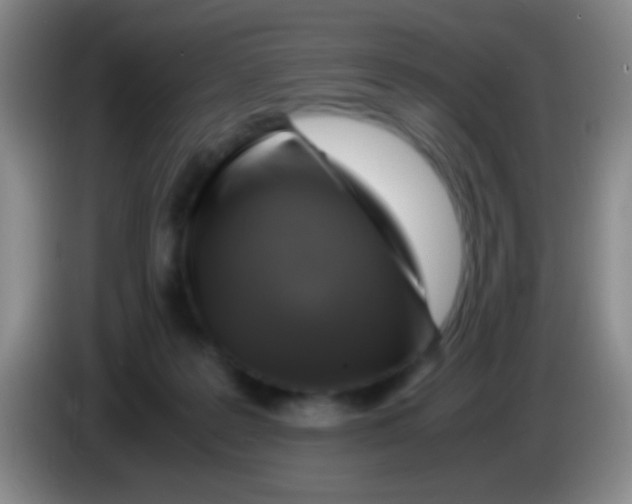 X0000084000219200703091913