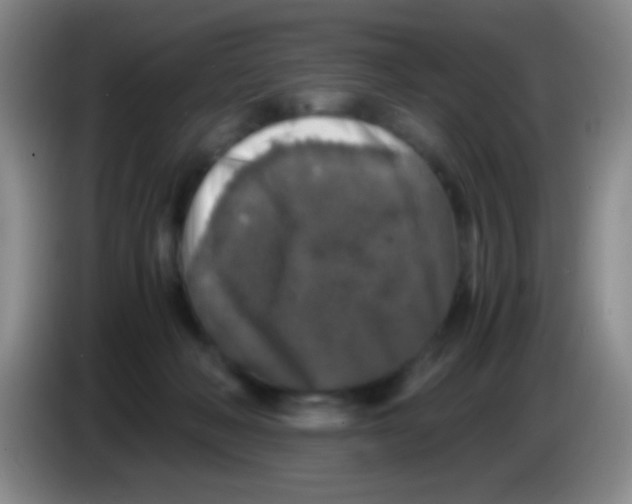 X0000084000222200703091912