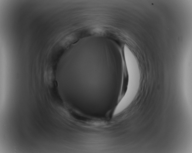 X0000084000223200703091912