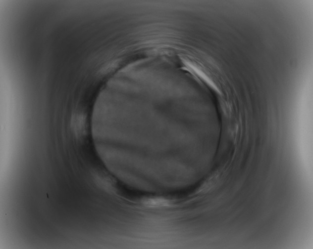 X0000084000224200703091912
