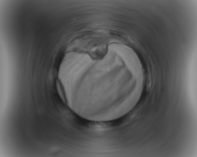 X0000084000229200703091912