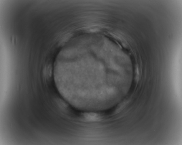 X0000084000230200703091912