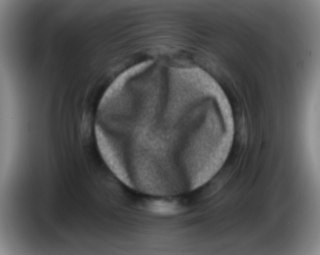 X0000084000232200703091912