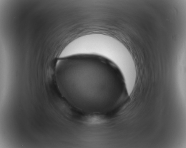 X0000084000235200703091912