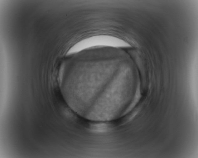 X0000084000237200703091912
