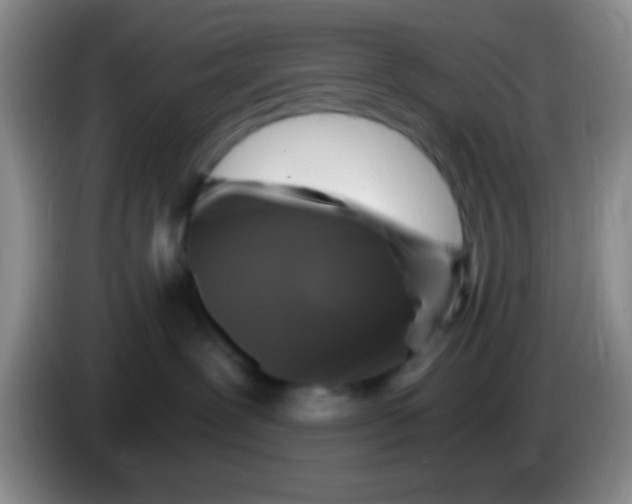 X0000084000239200703091912