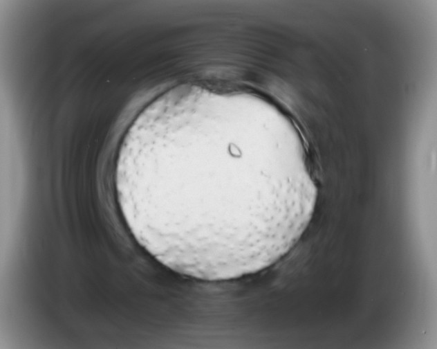 X0000084000241200703091912