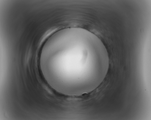 X0000084000242200703091912