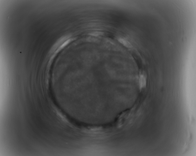 X0000084000243200703091912