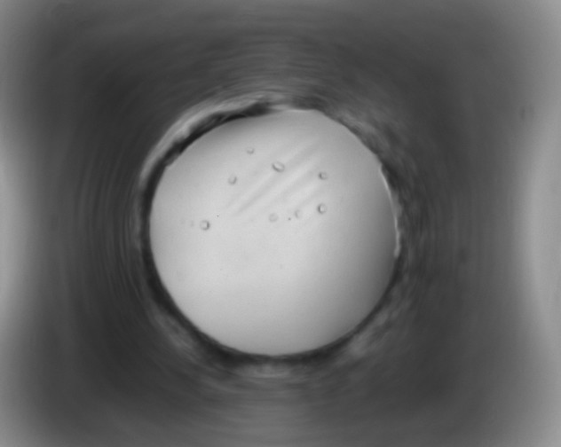 X0000084000244200703091912