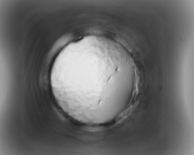 X0000084000245200703091912
