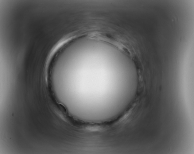 X0000084000246200703091912