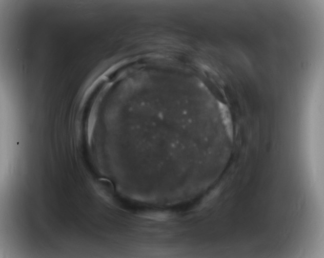 X0000084000247200703091912