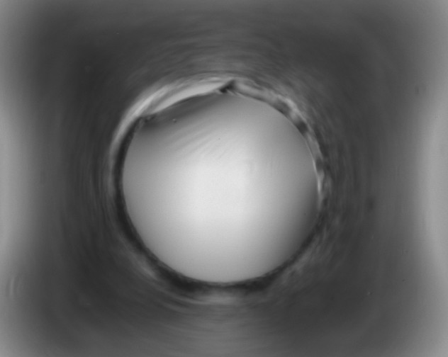 X0000084000248200703091912