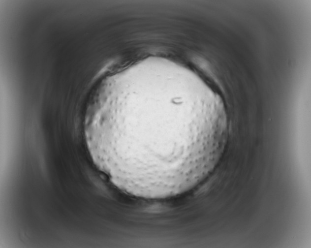 X0000084000249200703091912