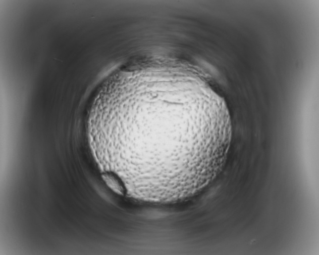X0000084000250200703091912