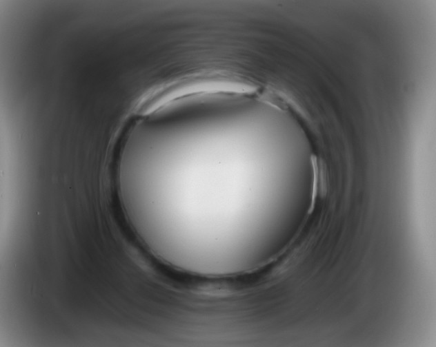 X0000084000252200703091912
