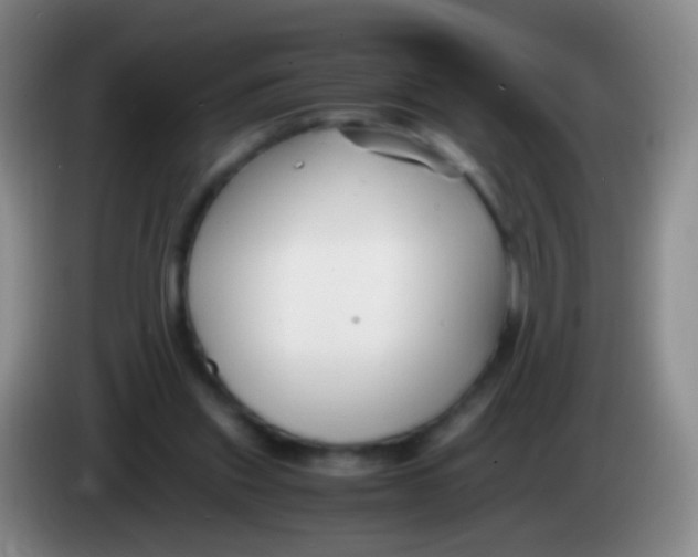 X0000084000253200703091912