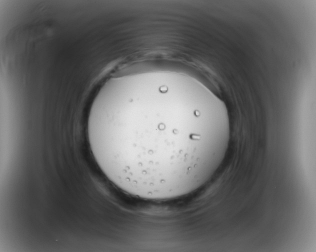 X0000084000256200703091912