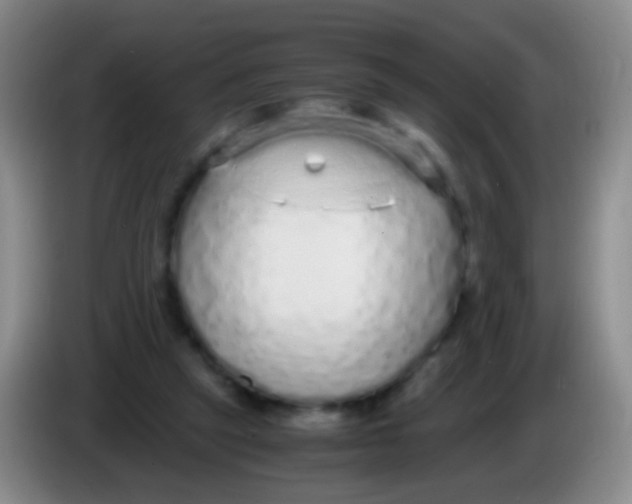 X0000084000257200703091912