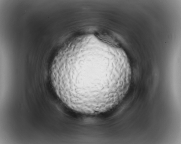 X0000084000259200703091912